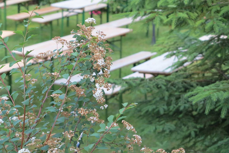 Naturparkhotel Haus Hubertus im Kurort Oybin - Urlaub im Zittauer Gebirge - Naturparkhotel im Dreiländereck - www.naturparkhotel-oybin.de